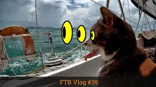 NAKED SAILING & ENGINE INSTALLATION. Ep 39