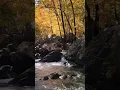 Download Lagu Fall Asleep in Under 20 MINUTES | Body Mind Restoration | Melatonin Release | Soothing Sounds