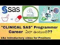What is Clinical SAS How was the Career of Clinical SAS programmer PHARMATIMESOFFICIAL