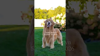 I'm So Sorry...