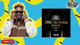 top ghanaian artists with their list of albums
