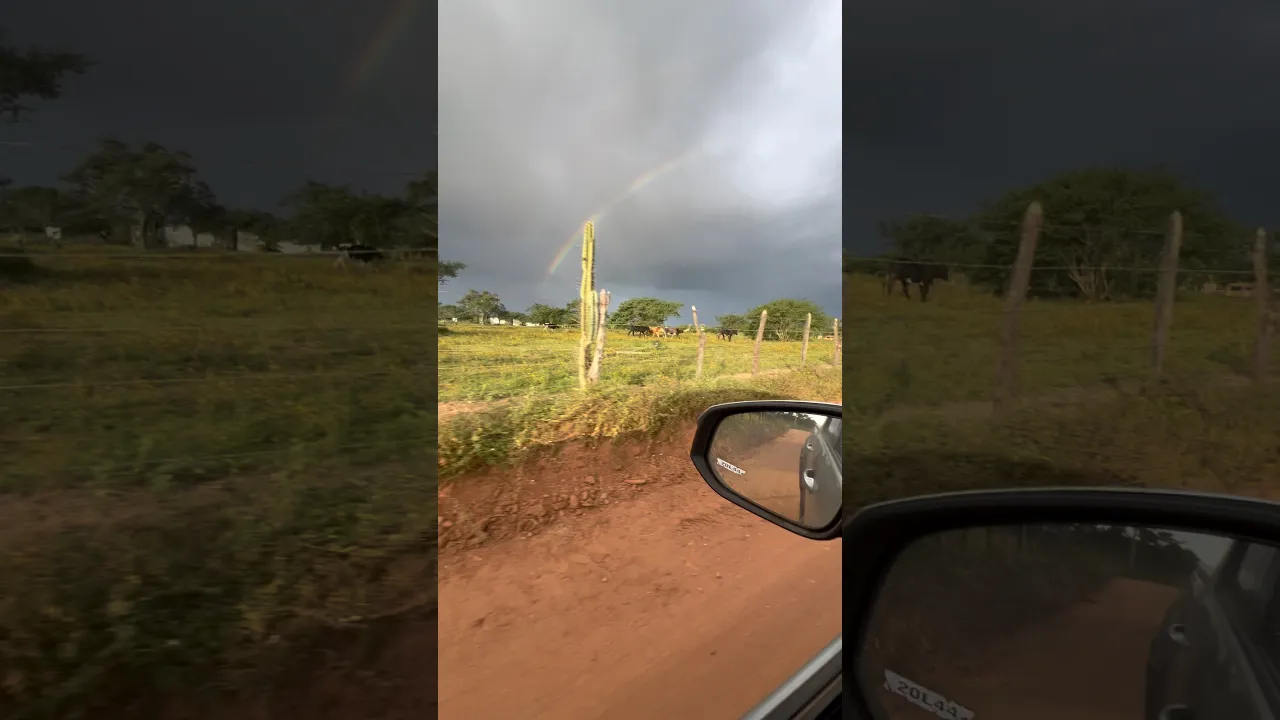 Que vista maravilhosa
