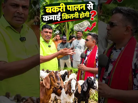Bakri palan से कितनी कमाई? नये लोग आखिर क्यों Goat Farming Business शुरू करें ?