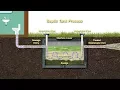 How to Maintain your Septic System Safely