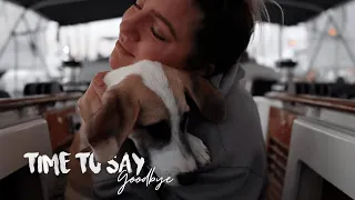 Rescue Puppy finds his forever home | Sicily | Sailing Sunday Ep. 101