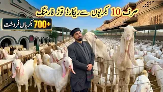 Successful Goat Farming Business in Pakistan | Complete Tour of Sarwar Goat Farm #goat #farming 