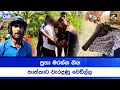Download Lagu පුතා මරන්න ගිය තාත්තාට වැරදුණු වෙඩිල්ල