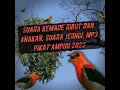 suara burung kemade ribut dan anakan, mp3 untuk pikat paling ampuh 2022. jangan lupa subscribe.