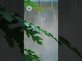 Download Lagu và giá như chưa từng quen..