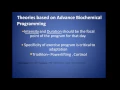 Triphasic Training Bioenergetics Integration Dynamics Method Part 1