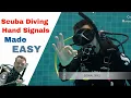 Download Lagu Scuba Diving Hand Signals 👌 How Divers Communicate Underwater!