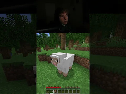 getting randomly jumpscared in minecraft... isnt fun