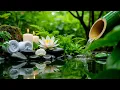 Download Lagu Relaxing Sleep Music with Bamboo Water Sound🌿Insomnia Relief,Calm Anxiety,Stress Relief \u0026 Meditation