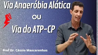 Via anaeróbia alática
