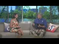 Alan the stray cat up for adoption at CT Humane Society
