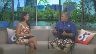 Alan the stray cat up for adoption at CT Humane Society