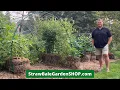 BaleBuster - Best Way to Condition a Straw Bale Garden