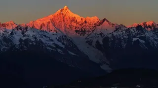 قطر الحياة دندنها