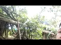 Download Lagu Carpenter my two brothers CAR LEO NARDS Vlog is live!