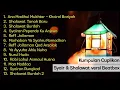 Download Lagu KUMPULAN SYAIR DAN SHOLAWAT VERSI BEATBOX || CUPLIKAN STORY WA