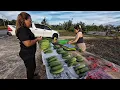 Download Lagu KEBUN SAYUR KUMANG JAWAI // JALAN-JALAN DI MARKET BESAR SIBU // BELI SAYUR TEPI JALAN //