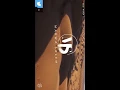 تحت السدره [شدت القافلة] مروة سالم (حصريا) 2018