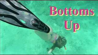 Big Fan  💧👙🤿 Bottoms Up