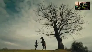 اغنيه عثمان الذئب الاسود روعه وحماس 