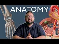 How to study Human anatomy All you need to know Kenhub