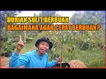 Mengapa Durian Sulit Berbuah?