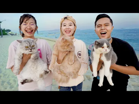 Download MP3 NGABUBURIT KE PANTAI BARENG CIKU, BOO DAN PAM PAM KUCING!! LANGSUNG PENGEN BERENANG!!