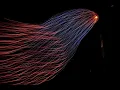 HTML INJECTION Web Security