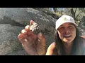A Rockhound Guide to Arizona  //  Arizona Geology Tour