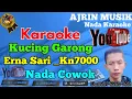 Download Lagu Erna Sari - Kucing Garong [Karaoke] Kn7000 - Nada Pria| Ajrin Musik