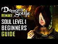 How to Survive Your First SL1 Run in Demon s Souls and how to go all the way to NG 5