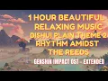 Download Lagu 1 Hour Beautiful Relaxing Music Bishui Plain Theme 2 - Rhythm Amidst the Reeds  - Genshin Impact OST