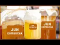 How to make homemade JUN KOMBUCHA