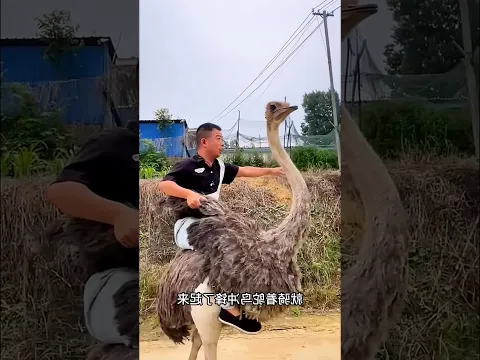 #bts