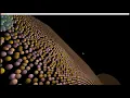 OpenFrameworks Test
