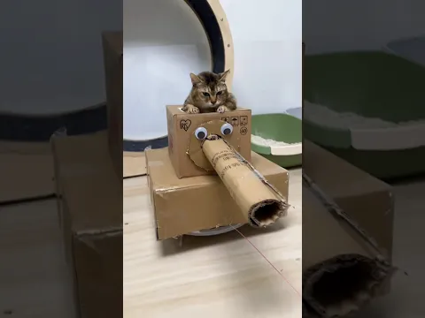 Cat Army Attack!