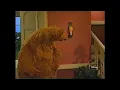 Download Lagu Bear In The Big Blue House You Never know Part 4