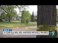 9 year old dead another critically injured in Flint shooting