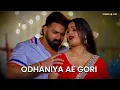 Odhaniya Ae Gori (Slowed + Reverb) | Pawan Singh, Shilpi Raj | Powerstar Lofi