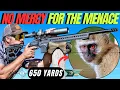 Download Lagu NO MERCY FOR THE MENACE: MONKEY HUNTING WITH AIM ENGINEERING AND DELTA FORCE I VERVET MONKEY HUNTING
