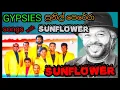 Download Lagu gipsies | sunflower | sunil