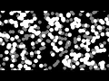 Reaction-diffusion equations