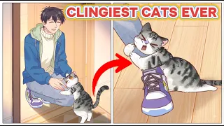 Clingiest Cats Ever