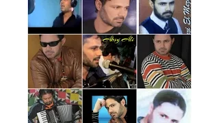 فوزي المزداوي مانريد نرده دندنها