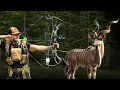 Total Archery Challenge Utah Nock on course
