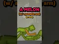 Download Lagu How to make a melon with a PUMPKIN ARM in Melon Playground